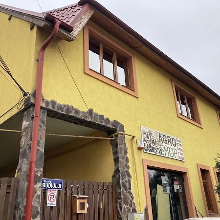 Casa Anna Vila Târgu-Mureş Exterior foto
