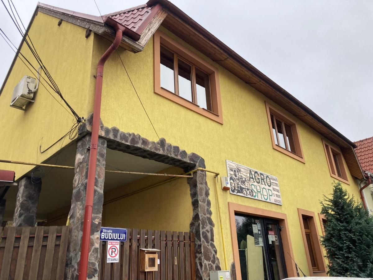 Casa Anna Vila Târgu-Mureş Exterior foto
